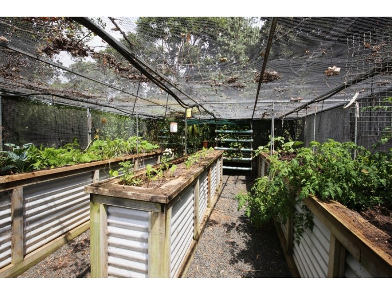 309C Kangaroo Valley Road, Berry NSW 2535