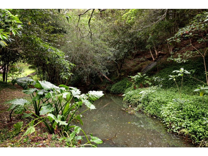 189 Tindalls Lane, Berry NSW 2535