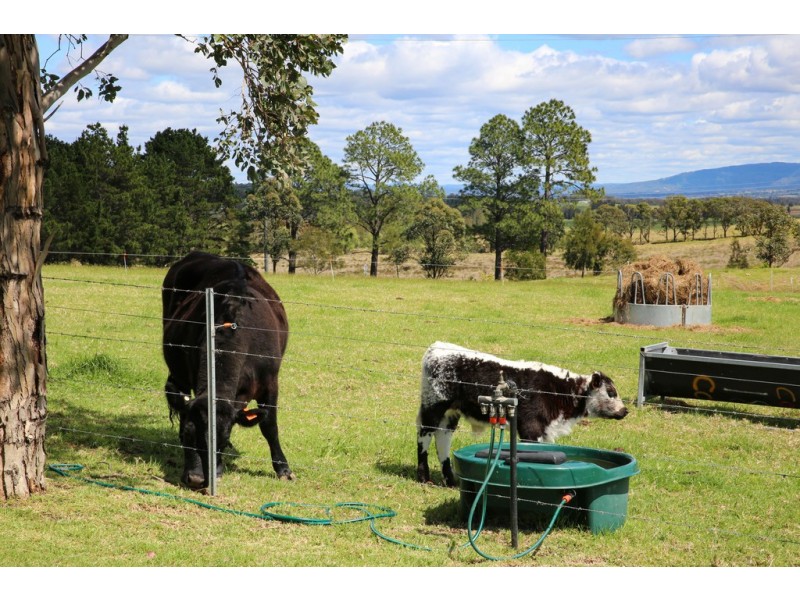 300 Coolangatta Road, Berry NSW 2535