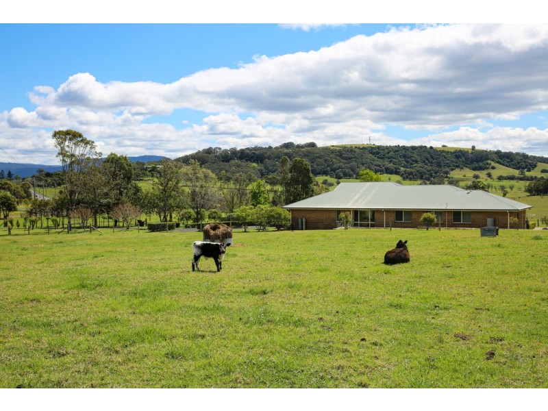 300 Coolangatta Road, Berry NSW 2535