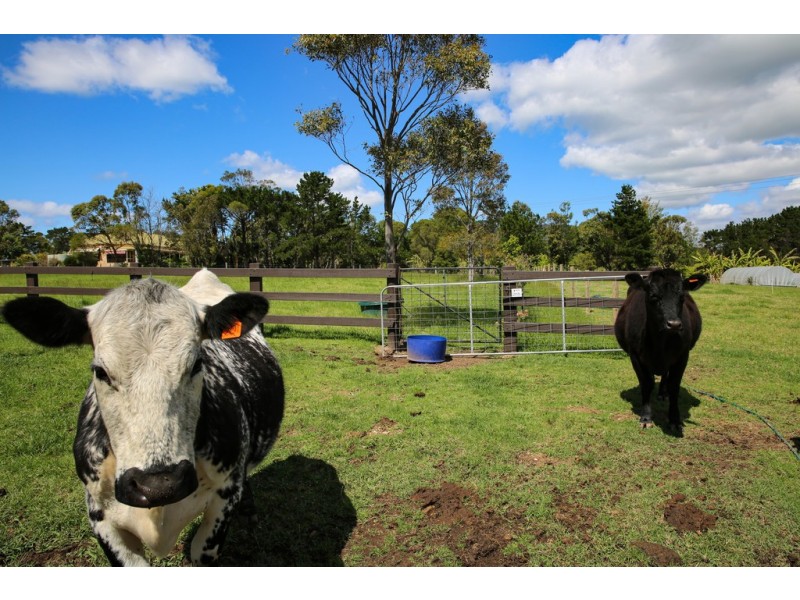 300 Coolangatta Road, Berry NSW 2535