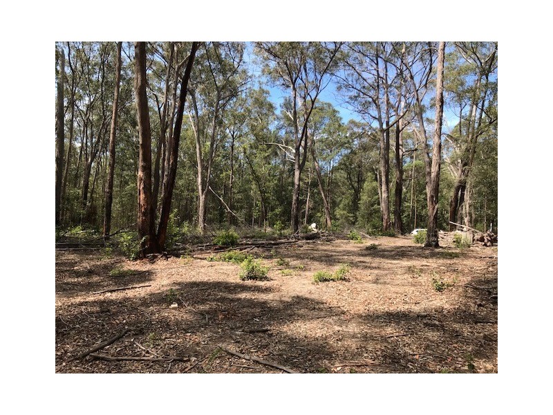 550 Bugong Road, Budgong NSW 2577