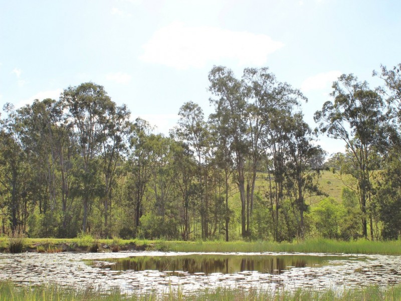 L 5, 7 and 14 Tranquil Court, The Palms QLD 4570