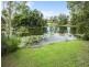 10 Attenuatta Place, Noosaville QLD 4566