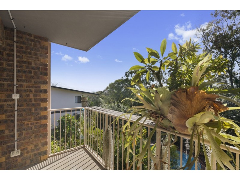 3/19 Wyandra Street, Noosa Heads QLD 4567