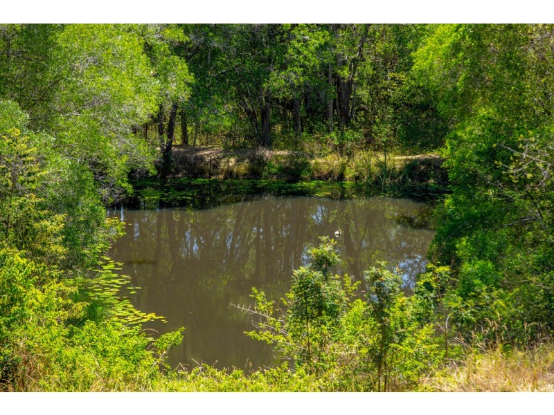 12 Oak Court, Carters Ridge QLD 4563