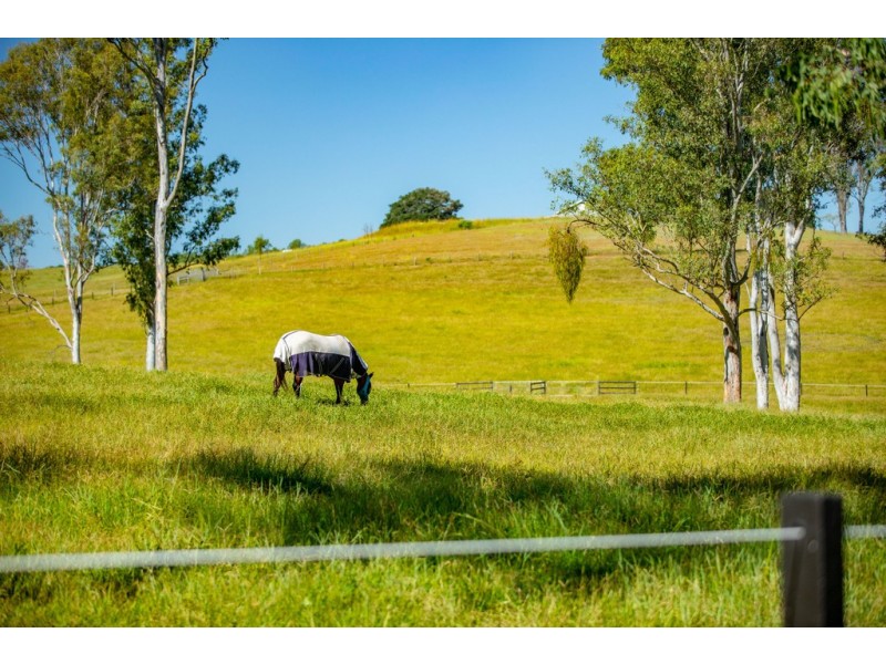 545 Mary Valley Road, Long Flat QLD 4570