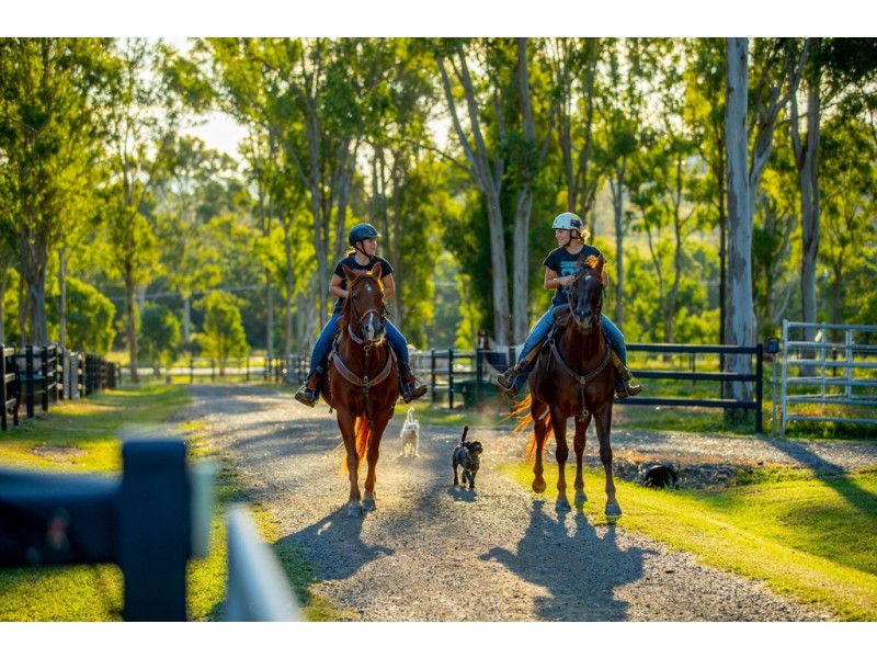 545 Mary Valley Road, Long Flat QLD 4570