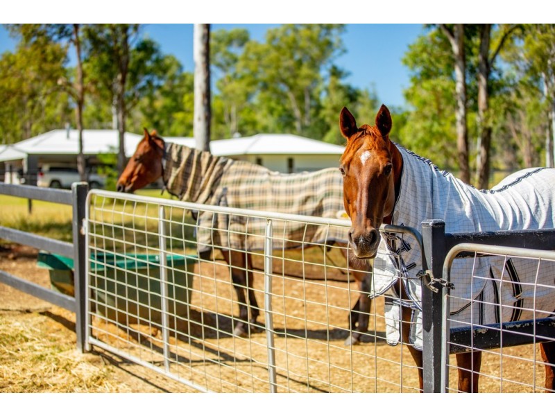 545 Mary Valley Road, Long Flat QLD 4570