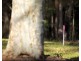 Pomona QLD 4568