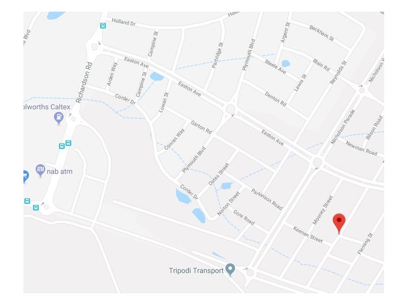 21 GEDDES STREET, Spring Farm NSW 2570