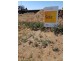 45 LILLYWHITE CIRCUIT, Oran Park NSW 2570