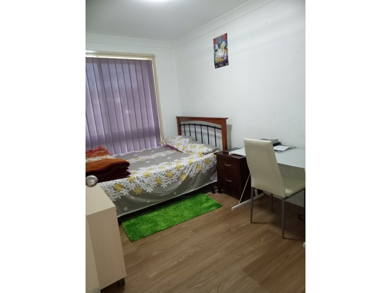 39 HYDRANGEA PLACE, Macquarie Fields NSW 2564