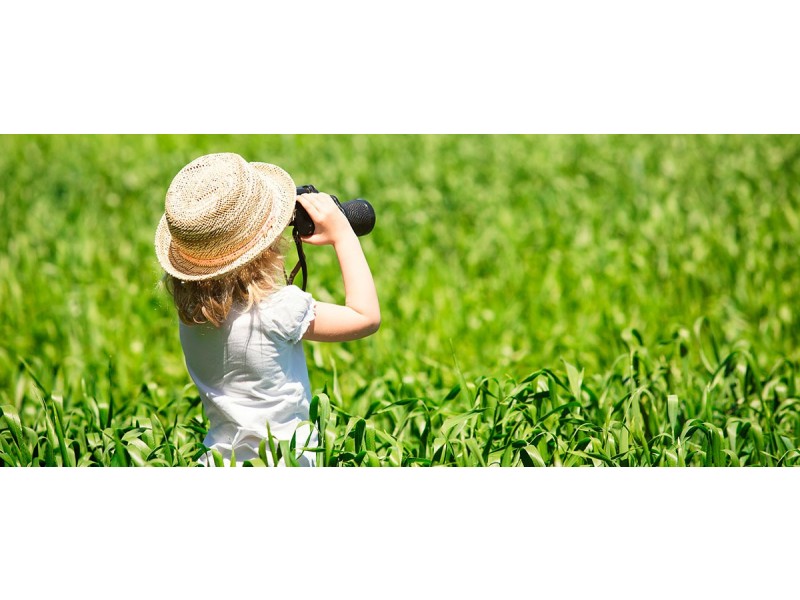 lot 4556 BURRELL ROAD, Spring Farm NSW 2570