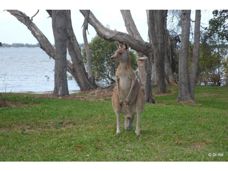 31 Esplanade, Toorbul QLD 4510