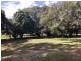 341 Bellmere Road, Bellmere QLD 4510