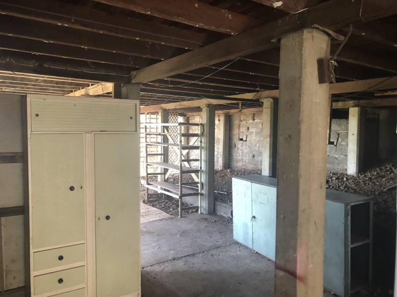 20 Greenway Street, Grange QLD 4051