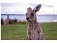 1814 Pumicestone Road, Toorbul QLD 4510