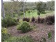 43 Helen Crescent, Wurdong Heights QLD 4680