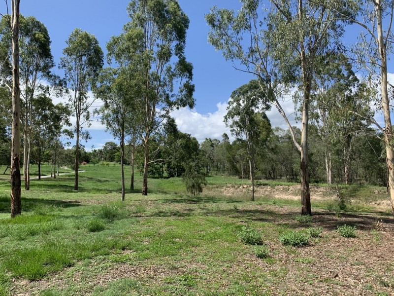 63 Messmate Drive, Miriam Vale QLD 4677