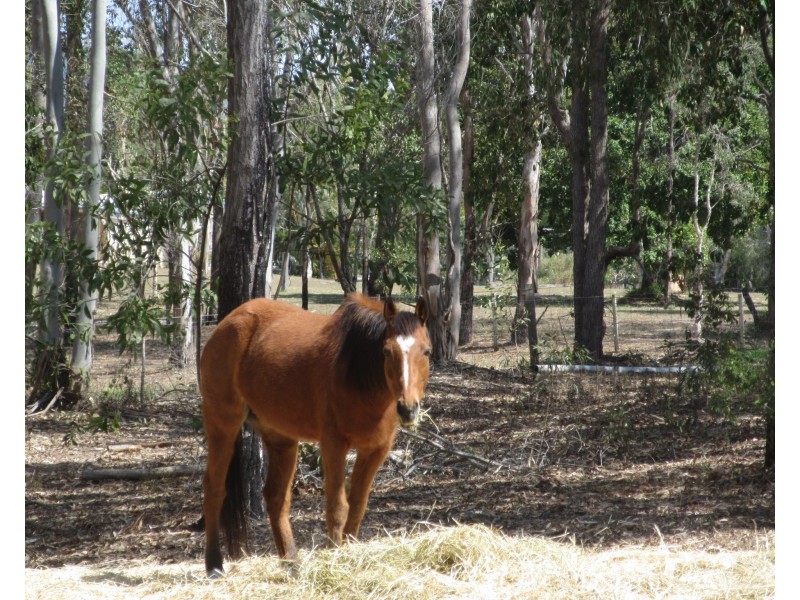 4 MESSMATE DRIVE, Miriam Vale QLD 4677