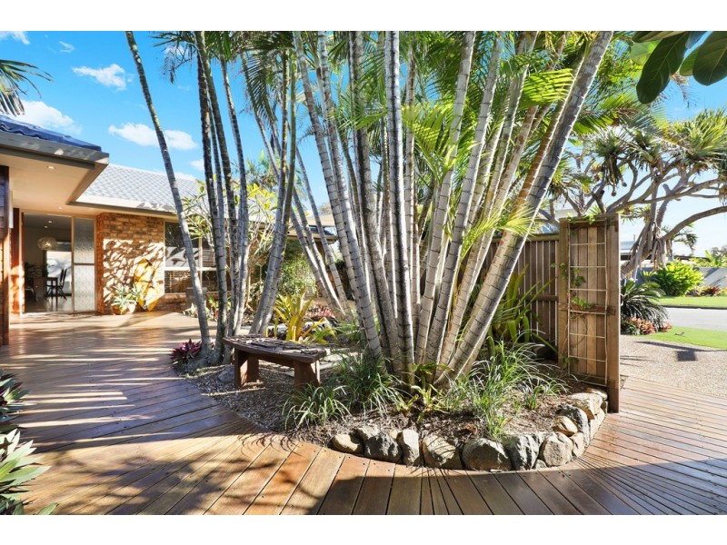 6 Boorook Street, Buddina QLD 4575