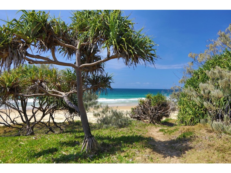 26 Iluka Avenue, Buddina QLD 4575