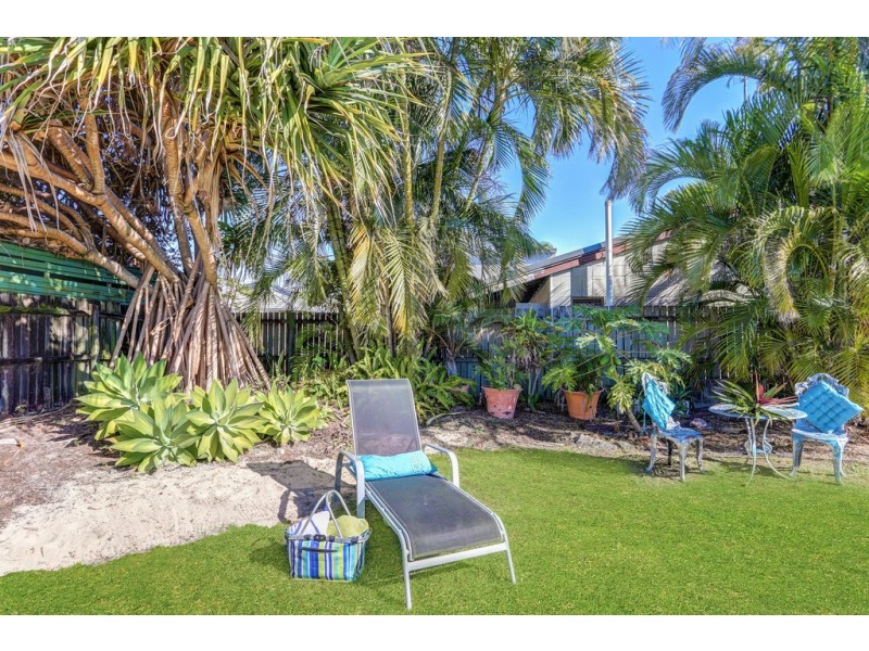 55 Maroubra Street, Maroochydore QLD 4558