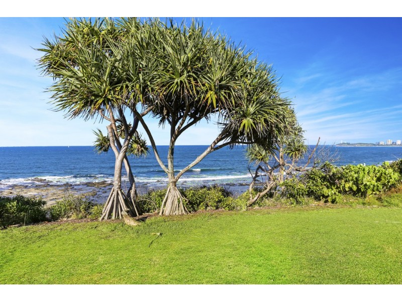 12/18 Edward Street, Alexandra Headland QLD 4572