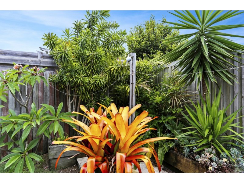 9 Minkara Street, Warana QLD 4575