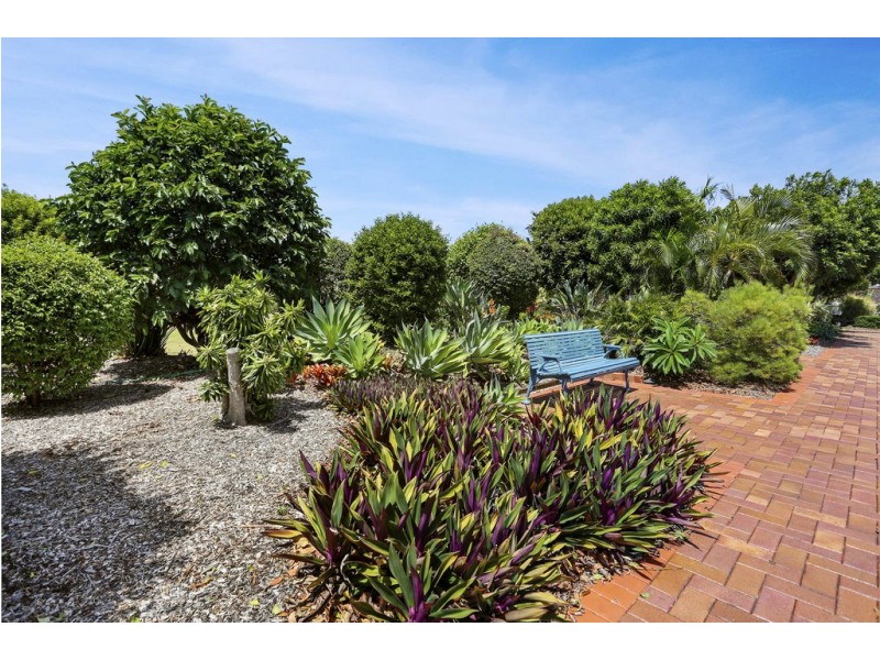 126/2 Peregrine Drive, Wurtulla QLD 4575