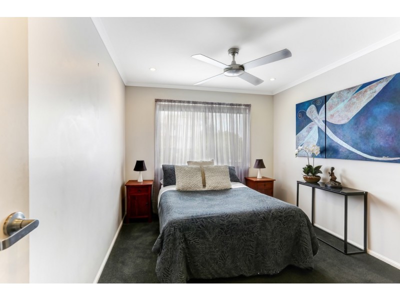 141 Lowanna Drive, Buddina QLD 4575