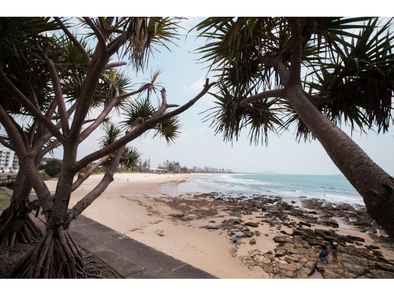 16 Parkway Drive, Mooloolaba QLD 4557