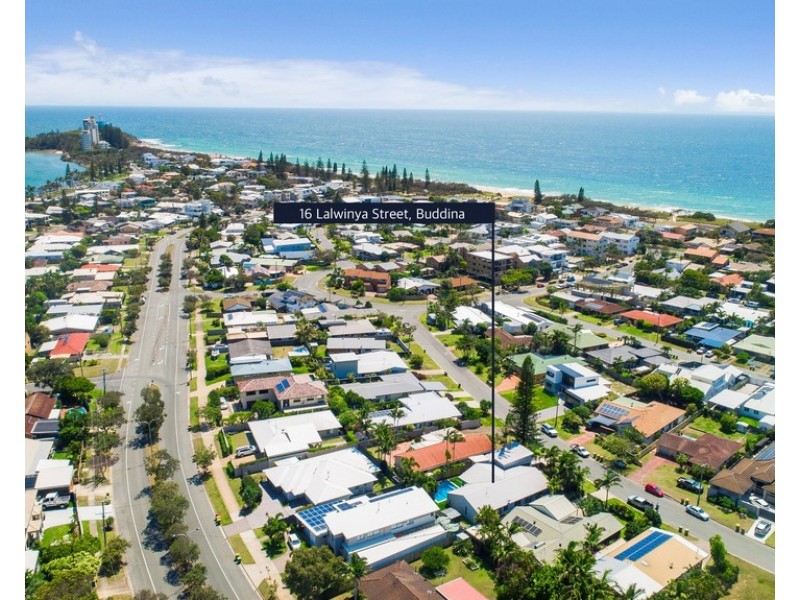 16 Lalwinya Street, Buddina QLD 4575