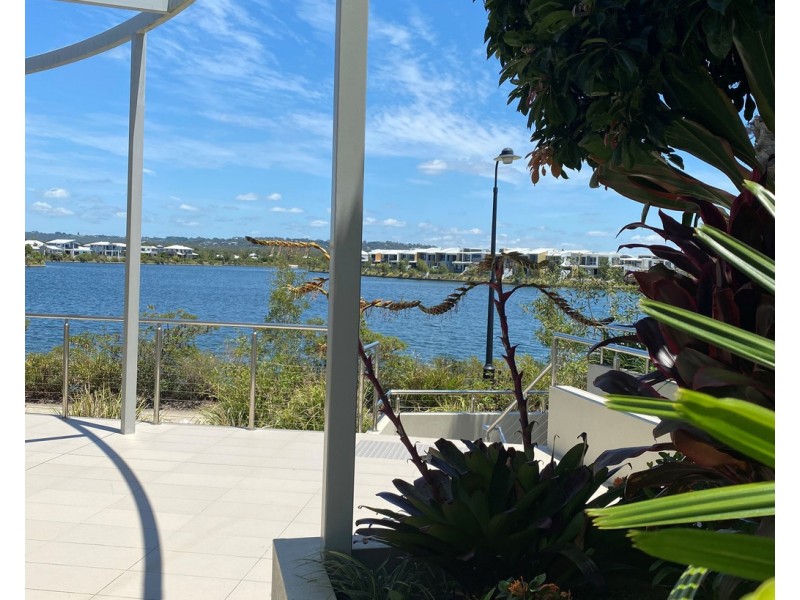 14 Skua Place, Mountain Creek QLD 4557