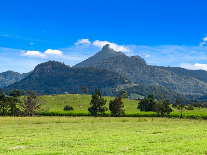 49 ELOUERA TERRACE, Murwillumbah NSW 2484