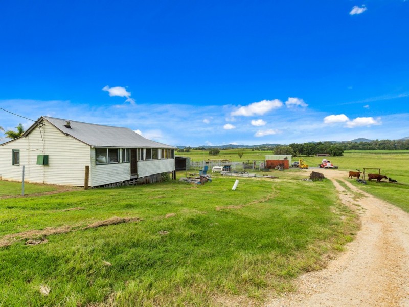 49 ELOUERA TERRACE, Murwillumbah NSW 2484