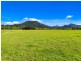 49 ELOUERA TERRACE, Murwillumbah NSW 2484