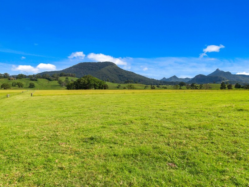 49 ELOUERA TERRACE, Murwillumbah NSW 2484