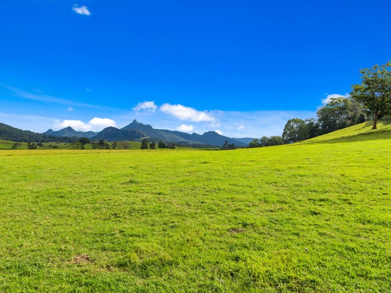 49 ELOUERA TERRACE, Murwillumbah NSW 2484