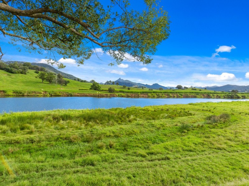 49 ELOUERA TERRACE, Murwillumbah NSW 2484