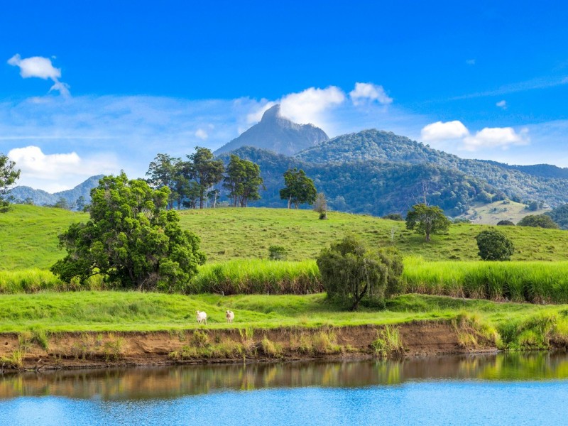 49 ELOUERA TERRACE, Murwillumbah NSW 2484