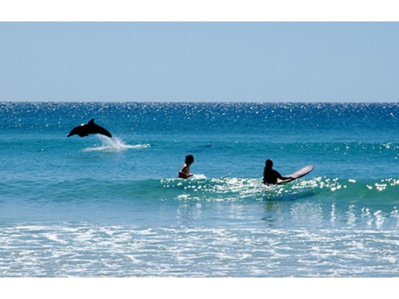 1436/6-8 Stuart Street,, Tweed Heads NSW 2485