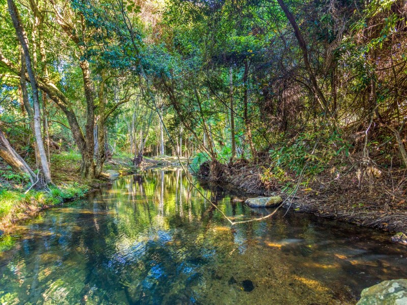 95 DUNGAY CREEK ROAD, Dungay NSW 2484