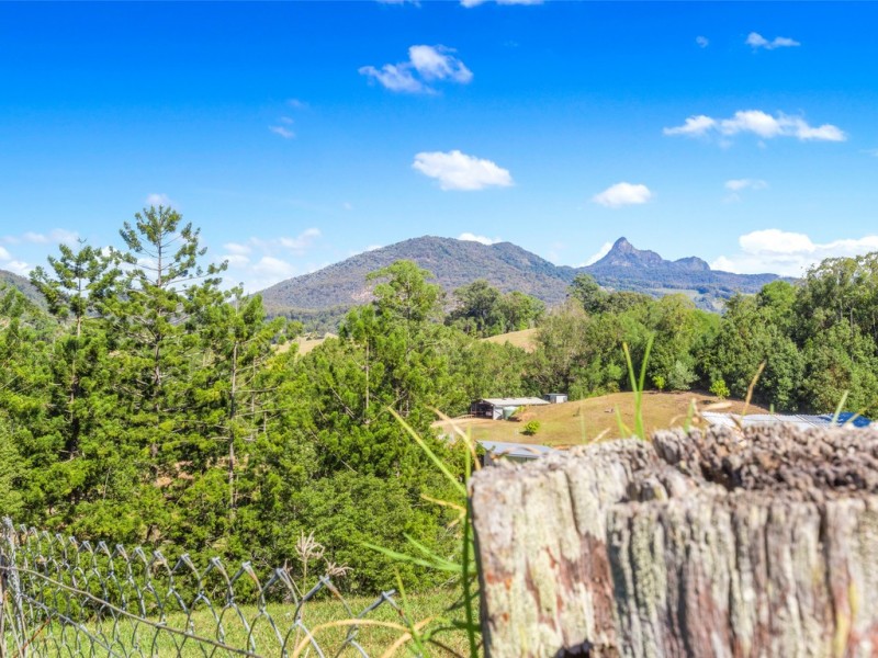224 TYALGUM ROAD, Eungella NSW 2484