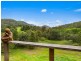 462 BYRRILL CREEK ROAD, Byrrill Creek NSW 2484