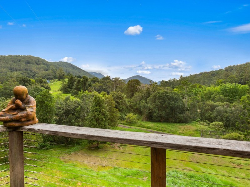 462 BYRRILL CREEK ROAD, Byrrill Creek NSW 2484