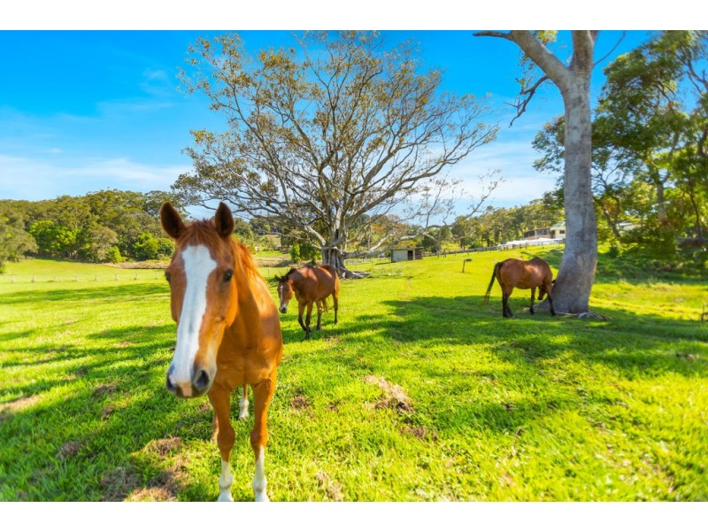 5824 TWEED VALLEY WAY, Mooball NSW 2483