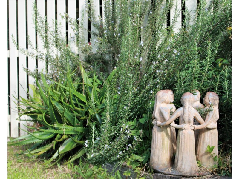 1446 KYOGLE ROAD, Uki NSW 2484