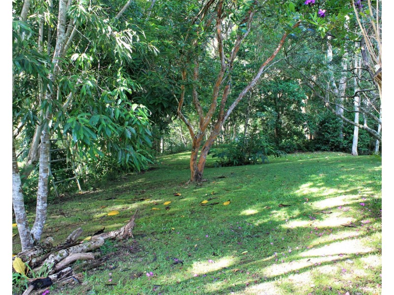 1446 KYOGLE ROAD, Uki NSW 2484